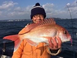 ゲームフィッシング バレントン 釣果