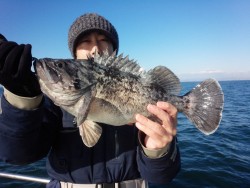 MATSUSHIMA SEANET 釣果