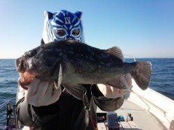 MATSUSHIMA SEANET 釣果