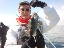 MATSUSHIMA SEANET 釣果