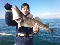 MATSUSHIMA SEANET 釣果