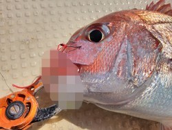 松本釣船2 釣果