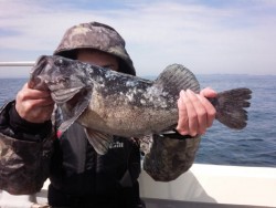 MATSUSHIMA SEANET 釣果