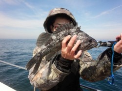 MATSUSHIMA SEANET 釣果