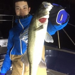 ゲームフィッシング バレントン 釣果