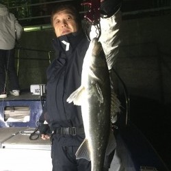 ゲームフィッシング バレントン 釣果