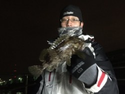 ゲームフィッシング バレントン 釣果