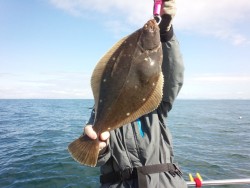 MATSUSHIMA SEANET 釣果