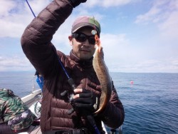 MATSUSHIMA SEANET 釣果