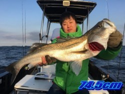 オーシャンマスター 釣果