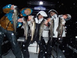 オーシャンマスター 釣果