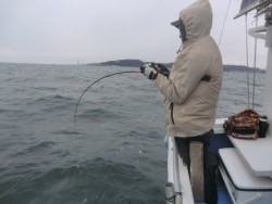 ＢＩＧ－ＯＮＥ 釣果