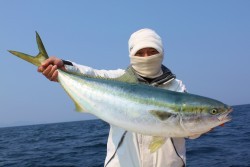 みち丸 釣果