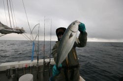 オーシャンズ 釣果