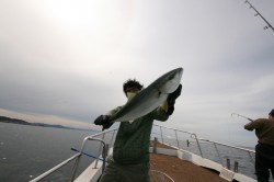 オーシャンズ 釣果