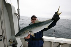 オーシャンズ 釣果