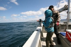 オーシャンズ 釣果