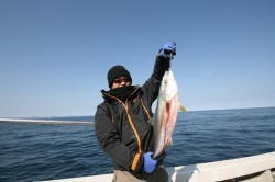 オーシャンズ 釣果