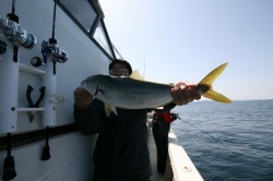 オーシャンズ 釣果