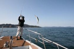 オーシャンズ 釣果