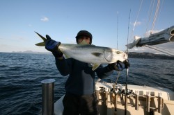 オーシャンズ 釣果