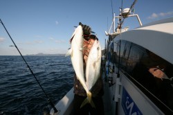 オーシャンズ 釣果