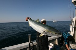 オーシャンズ 釣果