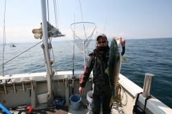 オーシャンズ 釣果