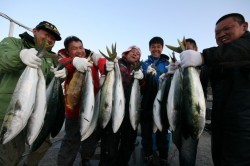 オーシャンズ 釣果