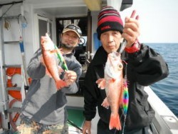 なぎさ丸 釣果