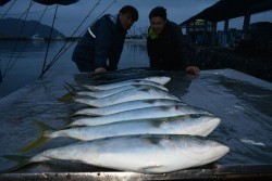 ハピネスⅡ 釣果