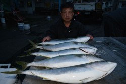 ハピネスⅡ 釣果