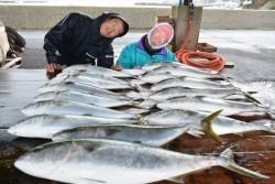 ハピネスⅡ 釣果