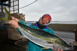 ハピネスⅡ 釣果