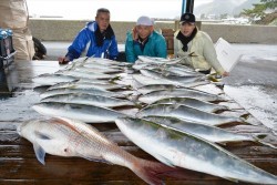 ハピネスⅡ 釣果