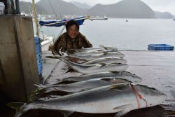 ハピネスⅡ 釣果