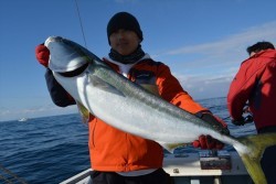 ハピネスⅡ 釣果