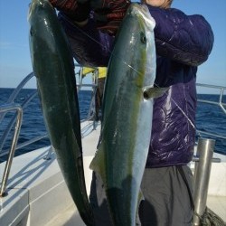 ハピネスⅡ 釣果