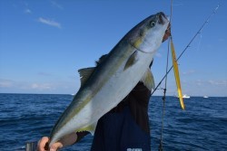 ハピネスⅡ 釣果