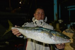 ハピネスⅡ 釣果