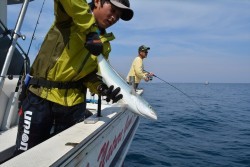 ハピネスⅡ 釣果