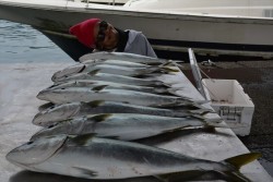 ハピネスⅡ 釣果