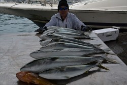 ハピネスⅡ 釣果