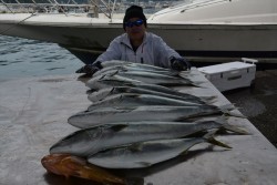 ハピネスⅡ 釣果