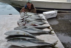 ハピネスⅡ 釣果