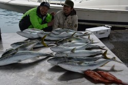 ハピネスⅡ 釣果