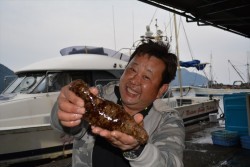 ハピネスⅡ 釣果