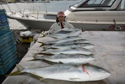 ハピネスⅡ 釣果