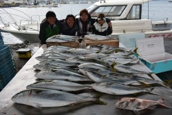 ハピネスⅡ 釣果