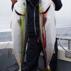 ハピネスⅡ 釣果